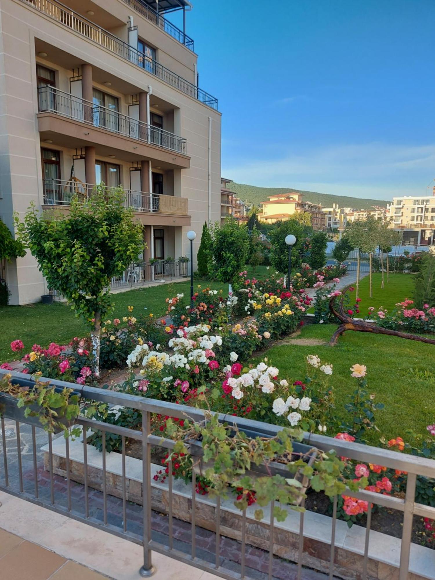 Charming Studio In Sorrento Sole Mare Sveti Vlas Esterno foto